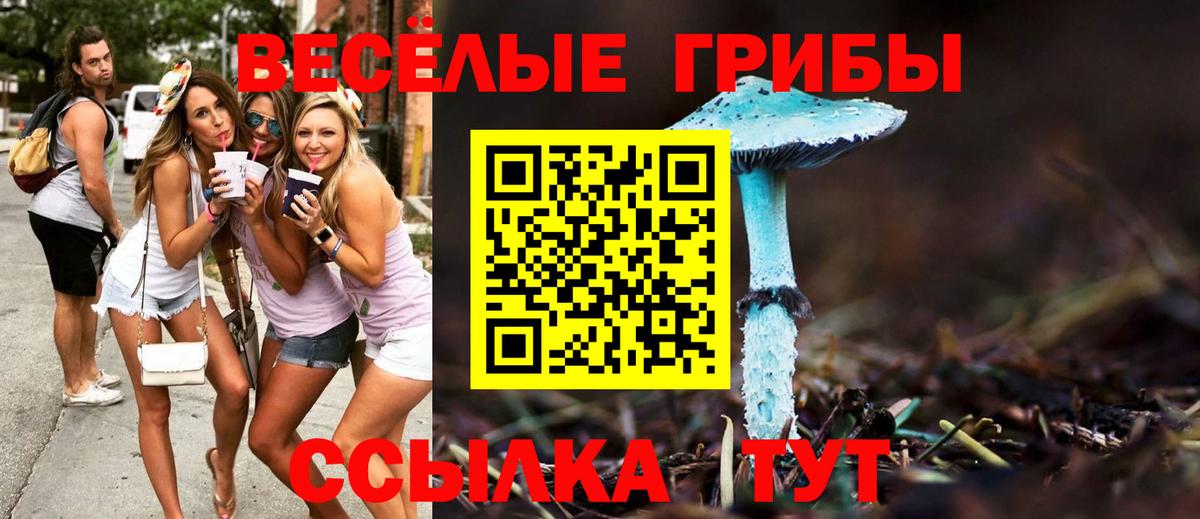 Псилоцибиновые грибы MAGIC MUSHROOMS Королёв